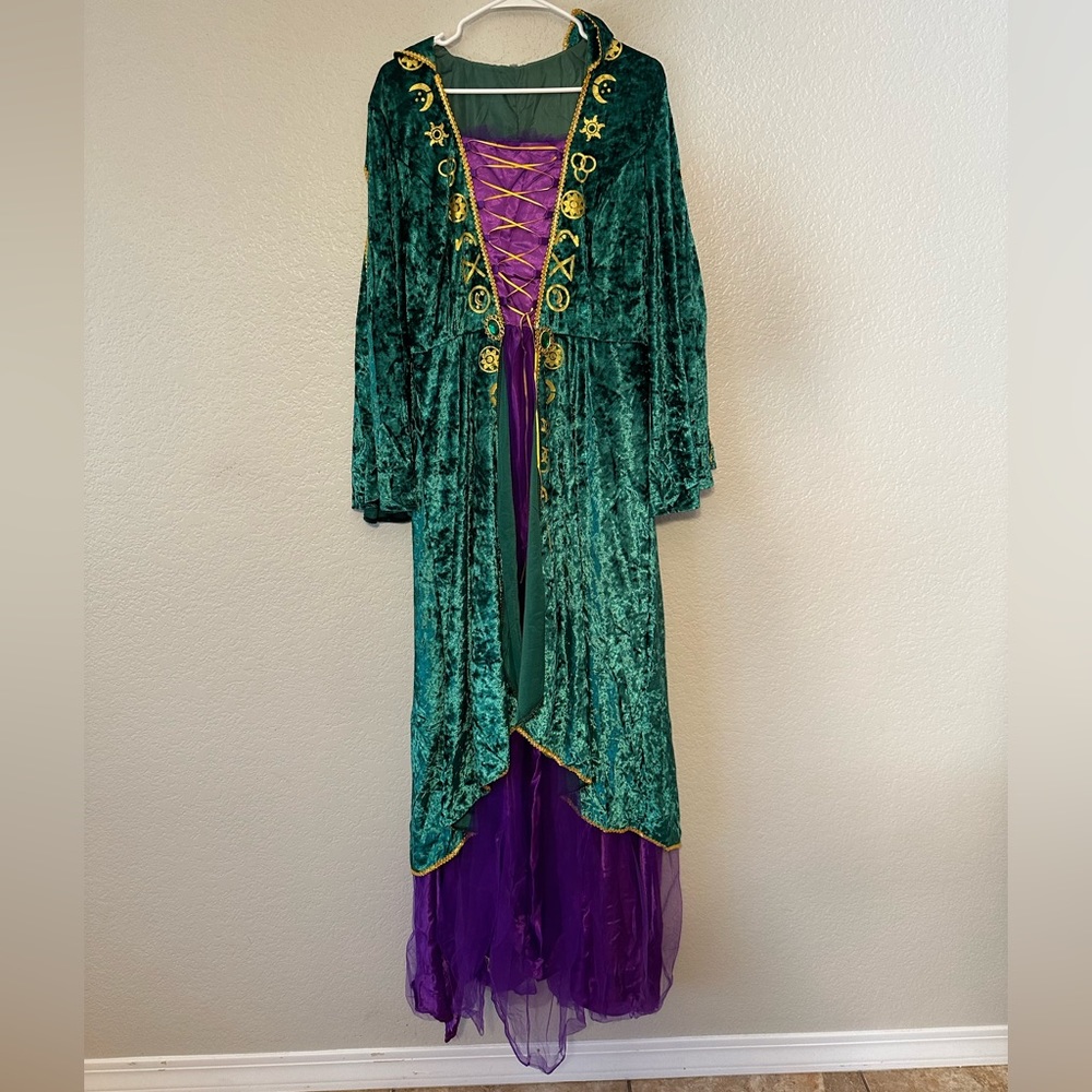 COPY - Women’s Winifred Costume and Wig size XL